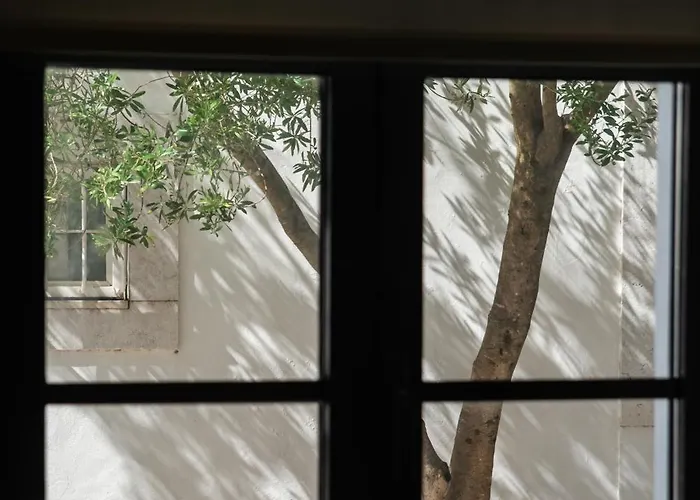 Διαμέρισμα Baia Terraza